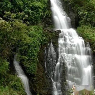 日本战国的那些猛将到底多高?游戏画面